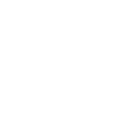 ce logo Lincoln