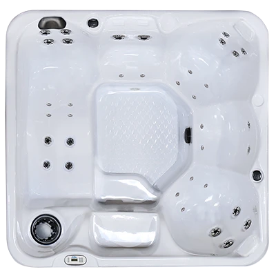 Hawaiian PZ-636L hot tubs for sale in Lincoln
